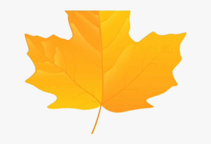 Autumn Leaves Clipart Yellow - Maple Leaf Png Yellow, transparent png #7847760