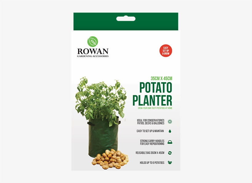 Potato, transparent png #7847938