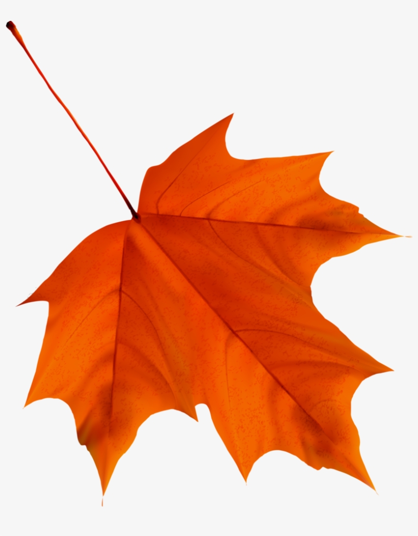 🍁aυƭυmຖ🍁 Rubrics, Autumn Leaves, Scissors, Clip Art, - Clipart Autumn Leavs, transparent png #7848179