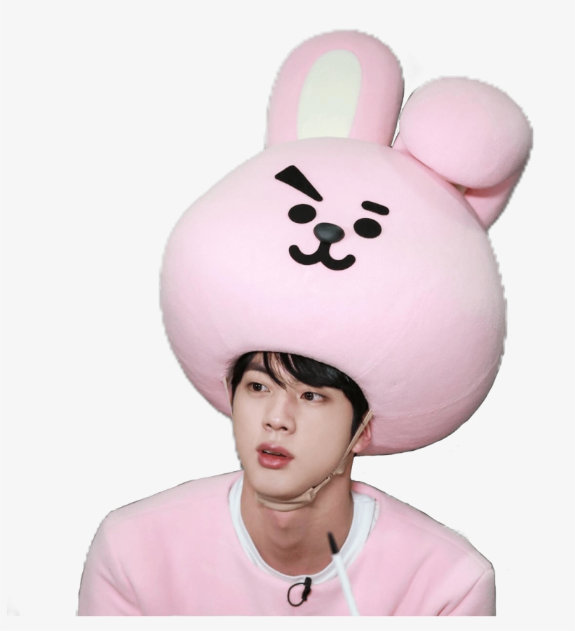 Rj Bts Bt21 Jin Cooky Freetoedit - Bts Dressed As Bt21, transparent png #7849447