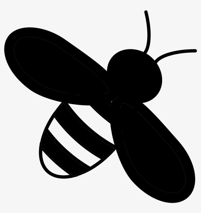 Honey - Net-winged Insects, transparent png #7850195