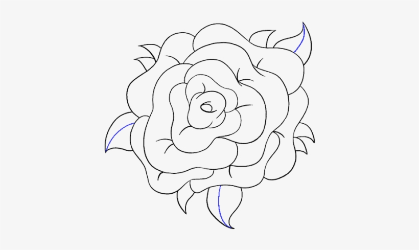 Flower Drawings, transparent png #7852161