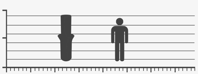 Musical Keyboard, transparent png #7852504