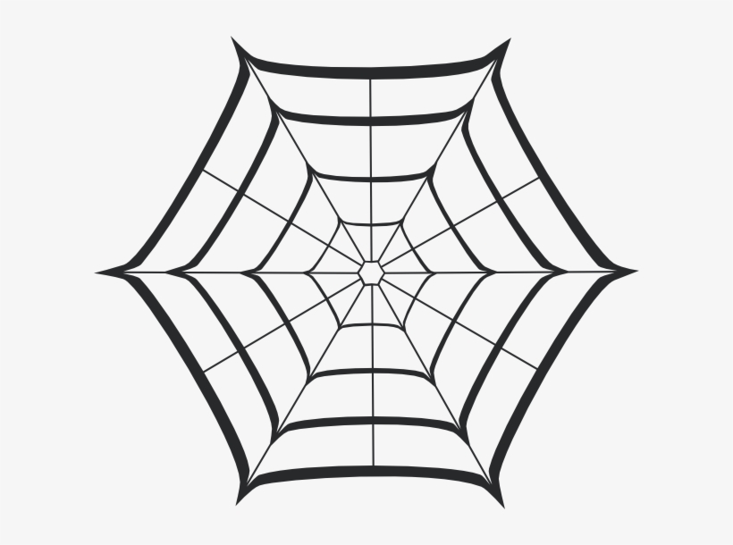 Spider Web, transparent png #7853469