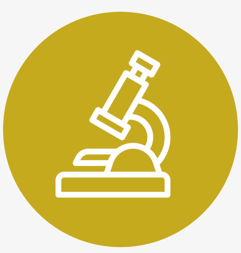 Exámenes De Laboratorio, transparent png #7854885