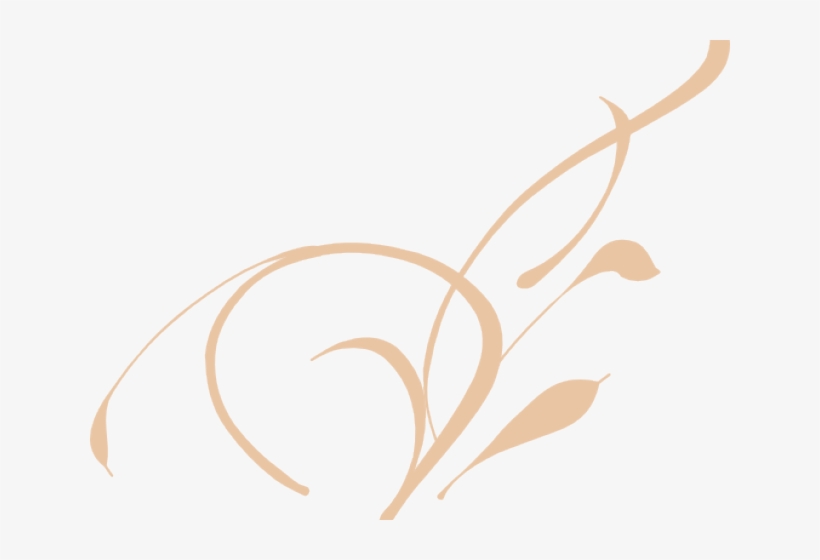 Swirl Clipart Transparent Background - Vine Clip Art, transparent png #7855044