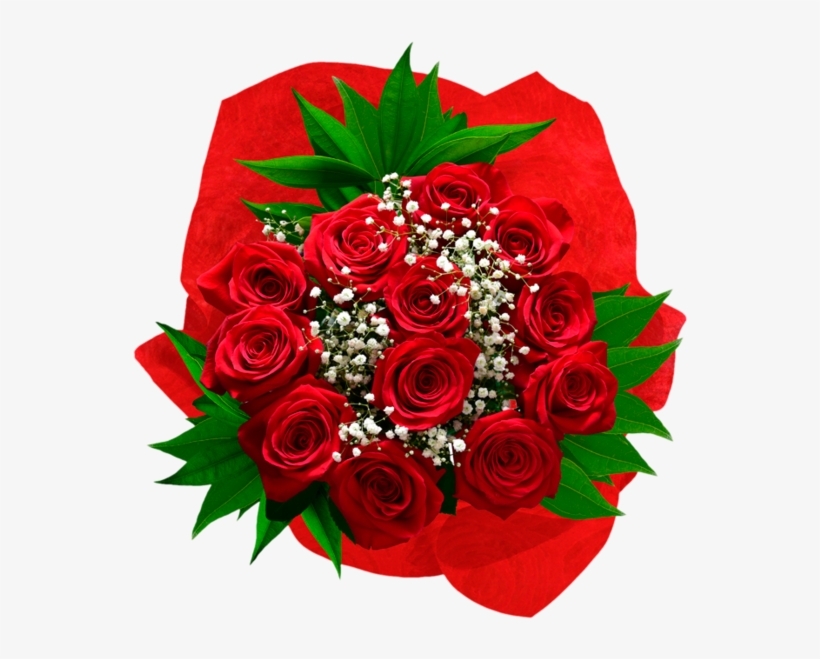 Premium Long Stem Red Rose Bouquet - Floribunda, transparent png #7855769