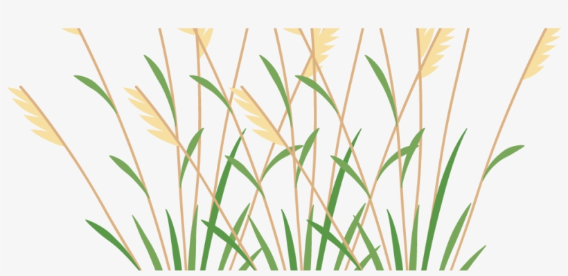 Icon 2 Weeds - Grass, transparent png #7856157