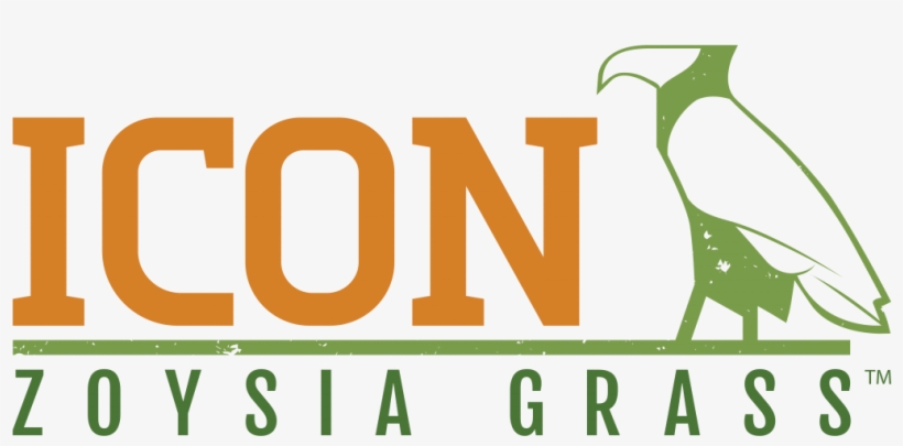 Icon Zoysia Grass - Graphic Design, transparent png #7856437