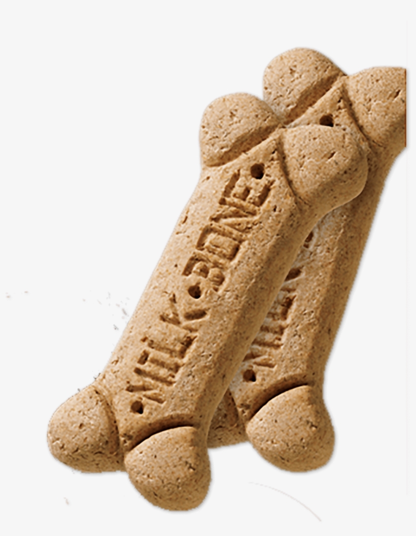 Milk Bone® Senior Biscuits Feature The Same Teeth Cleaning - Carving, transparent png #7857050