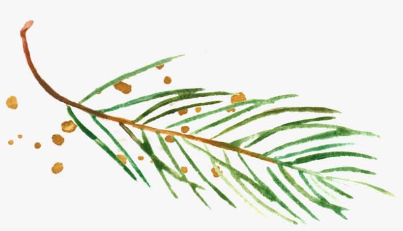 Com Julie Skelton Is A Garden And Commercial Photographer - Illustration, transparent png #7857487