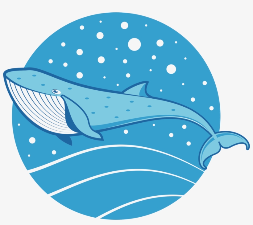 891 X 750 6 - Blue Whale Colored Drawing, transparent png #7858161