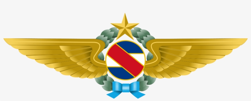 Fuerza Aerea Uruguaya Logo, transparent png #7858964