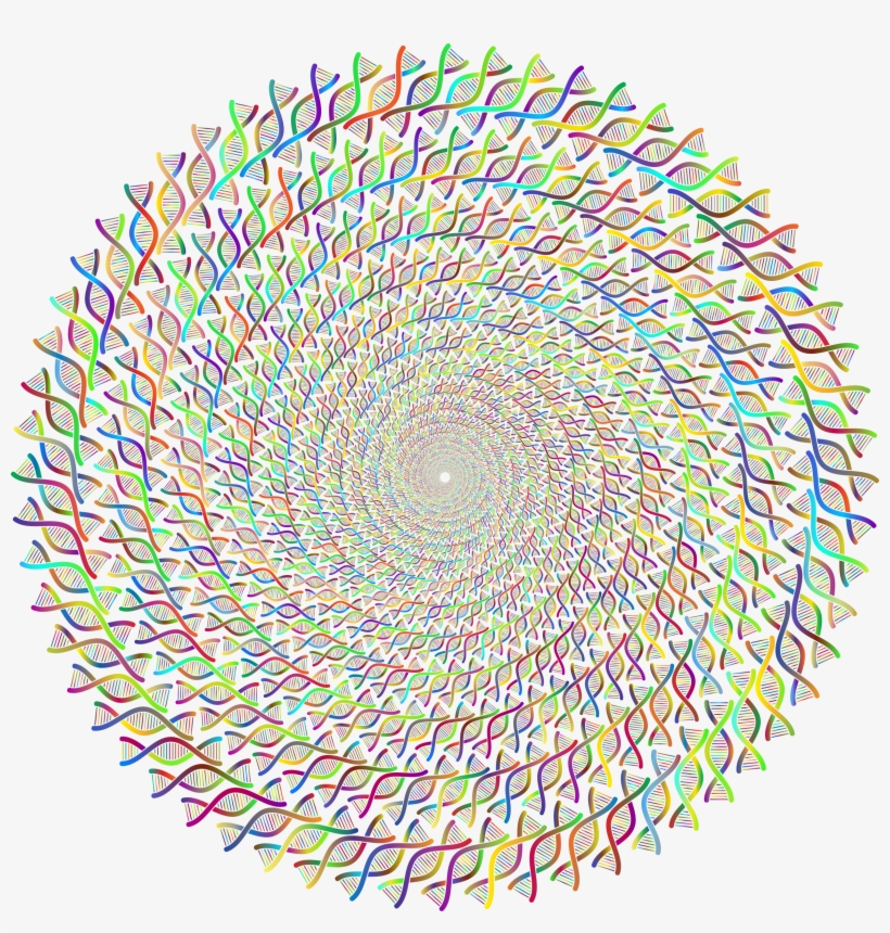 Big Image - Mandala Pattern No Background, transparent png #7859198