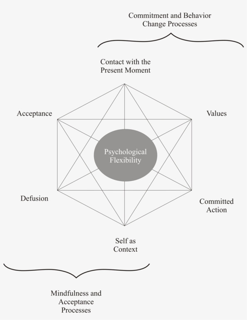 Hexaflex - Acceptance Commitment Therapy, transparent png #7859817