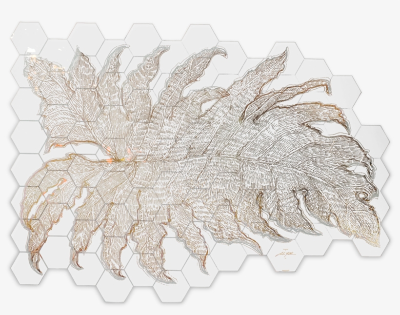 Alocasia - Crochet, transparent png #7860614