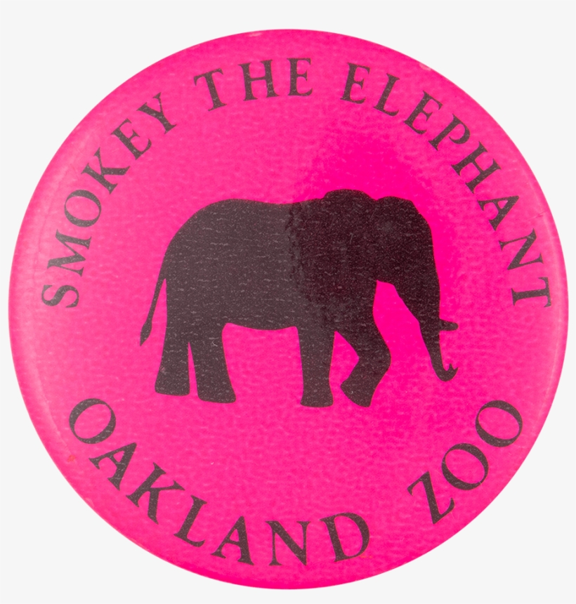Smokey The Elephant - Tapir, transparent png #7861525