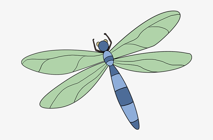 Drawn Dragonfly Old - Draw A Dragonfly Easy, transparent png #7862601