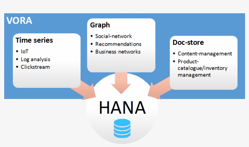 Sap Hana Vora - Sap Hana Walmart, transparent png #7863965