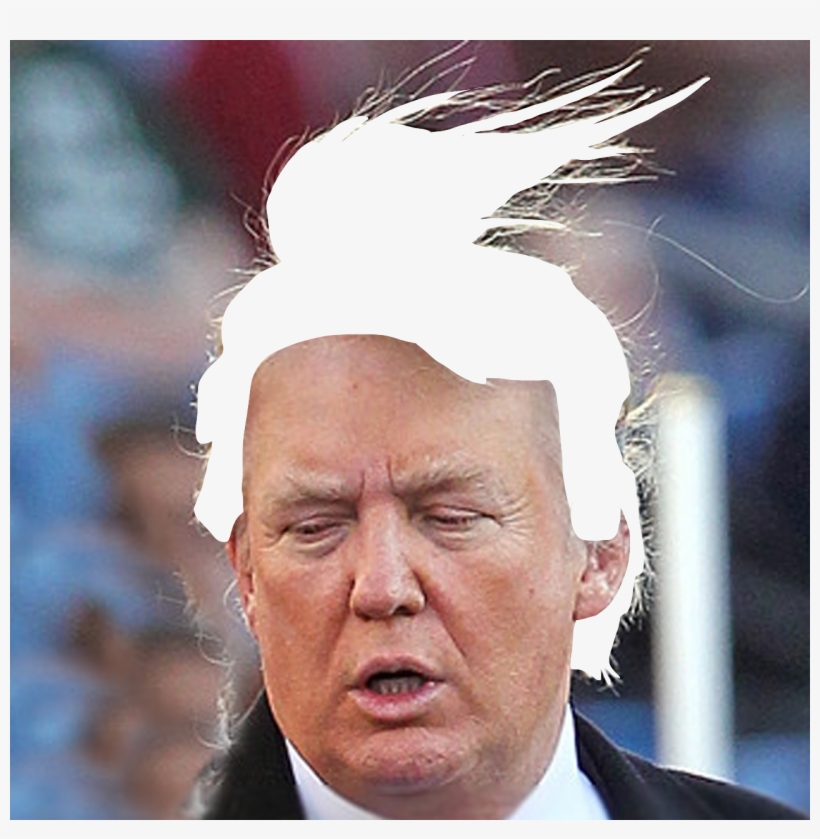 Transparent Trump Hair To Match Your Blog - Coupe Trump, transparent png #7864202