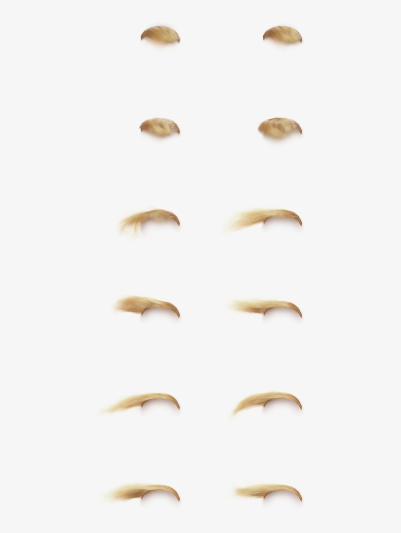 Hilarious Interactive Single Serving One Pager Where - Close-up, transparent png #7864588