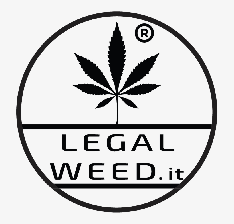 Legal Weed Cannabis Light - Marijuana Leaf, transparent png #7864687
