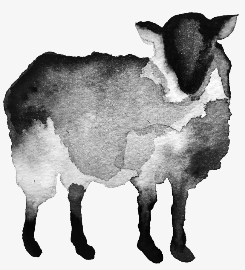 Black Sheep Transparent Copy - Dairy Cow, transparent png #7865003