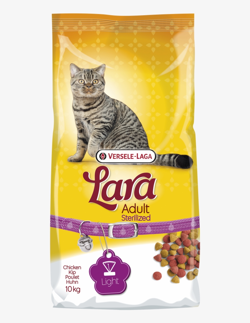 Image - Lara Adult Sterilized, transparent png #7865894