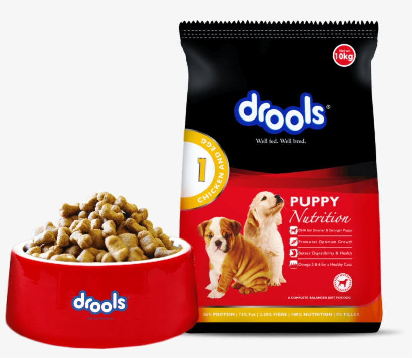 We Are Focused On Making The Power Of Real Nutrition - Drools Dog Food, transparent png #7866177