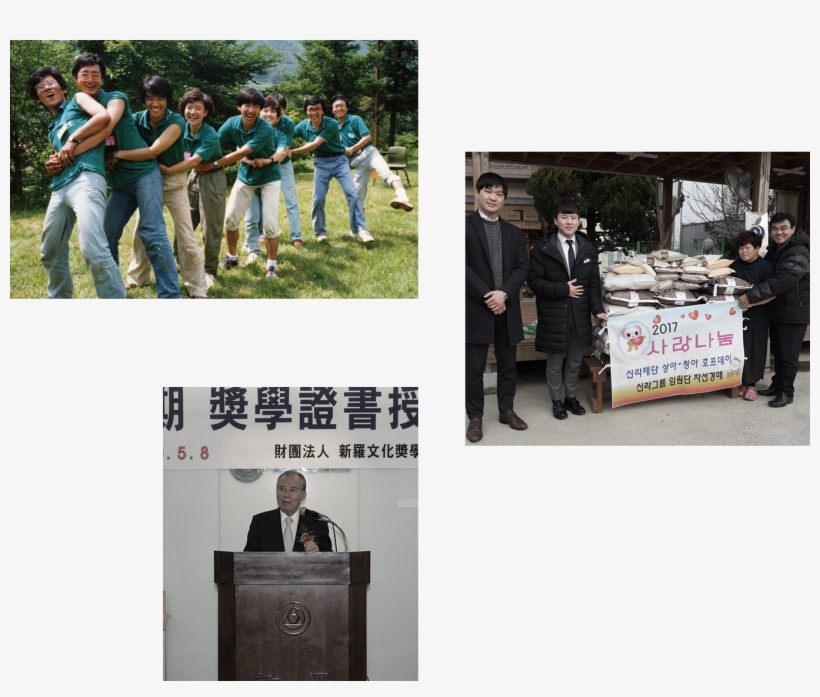 Purpose Of The Foundation's Establishment - Chair, transparent png #7866252