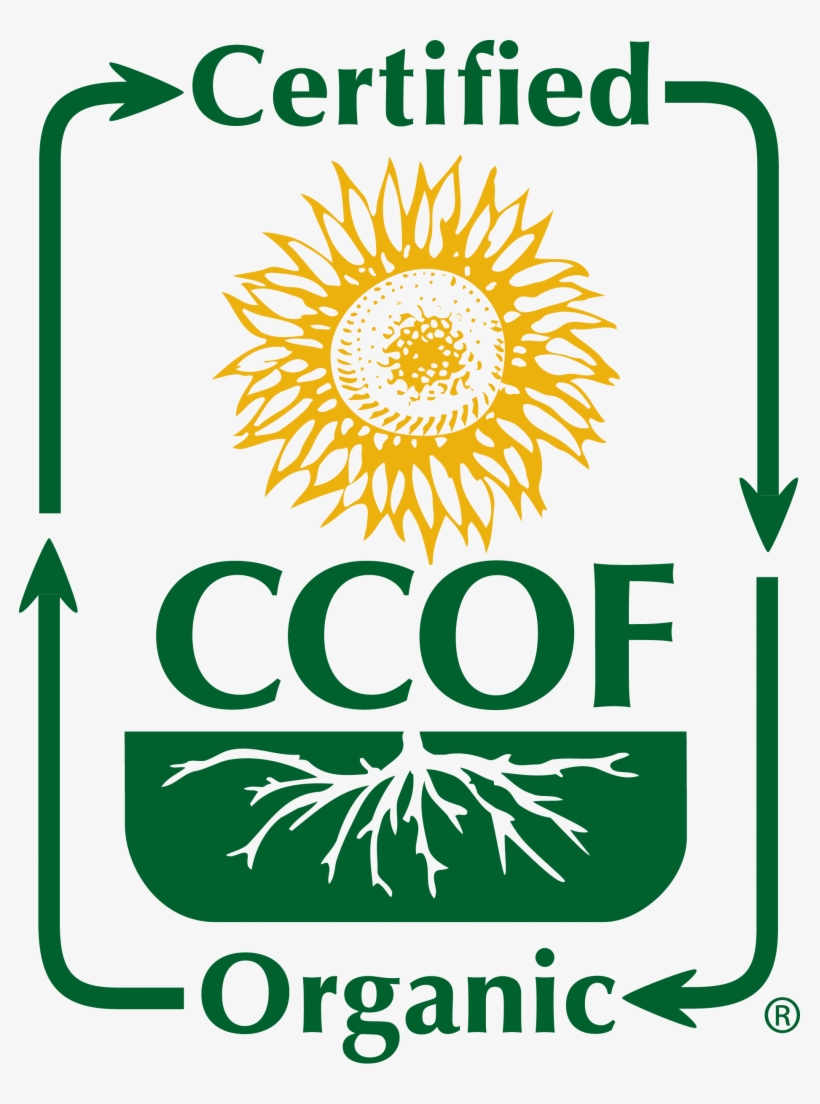 Certified Ccof Organic Logo - Certified Ccof Organic, transparent png #7867089