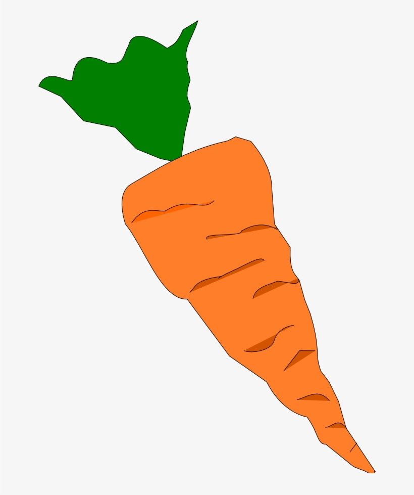 En Esta Actividad Tuvimos Que Dibujar Una Zanahoria - Baby Carrot, transparent png #7867202