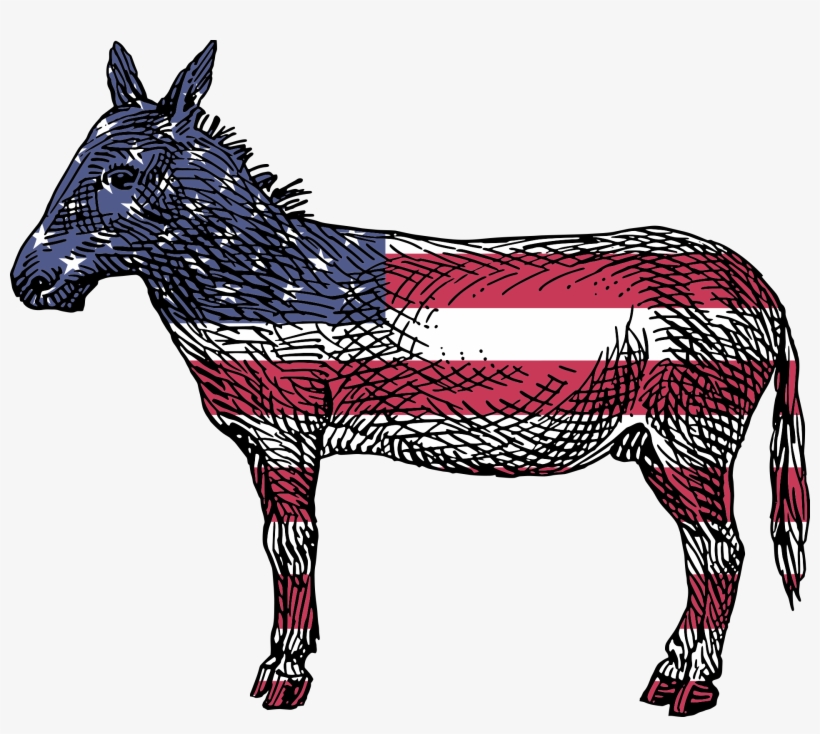 Democratic Party Response - Democrat Donkey Transparent Background, transparent png #7869063