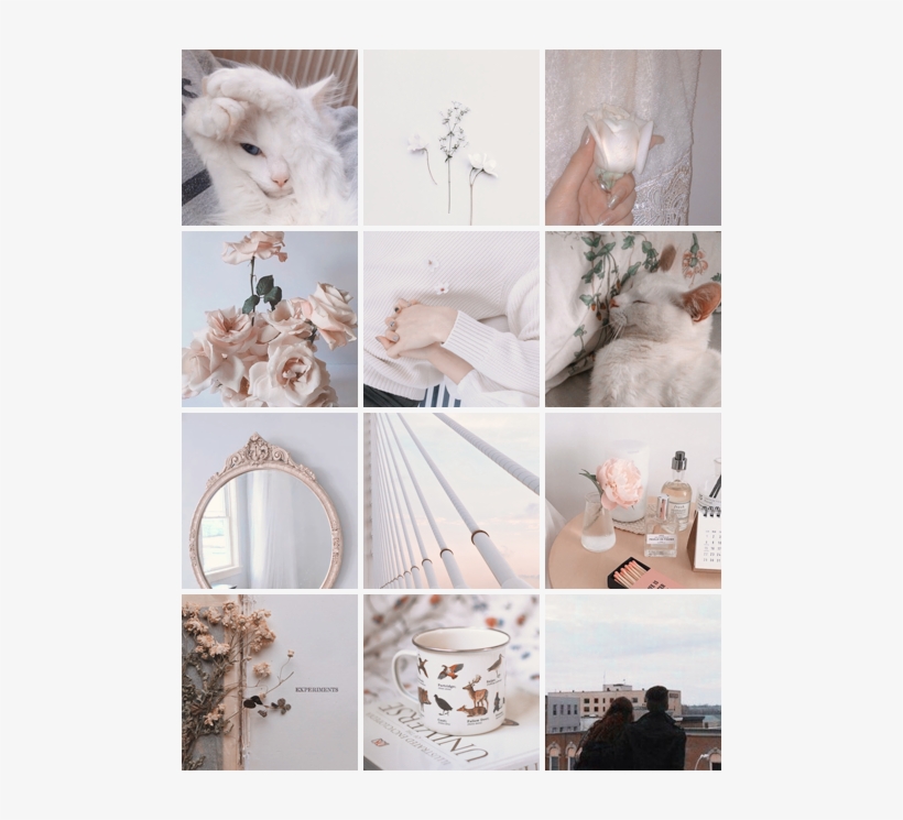 “ Psd - Collage, transparent png #7869343