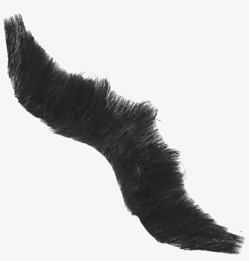 Full Beard Black Diff - Cat, transparent png #7869456