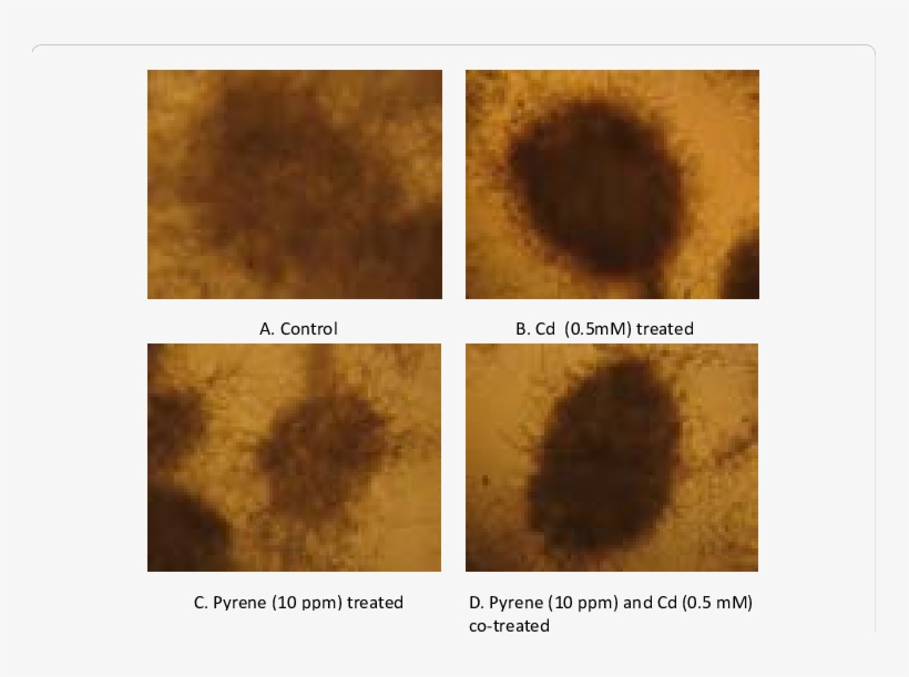 Download - Art, transparent png #7869497