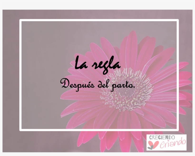 La Piazza Hotel, transparent png #7871595