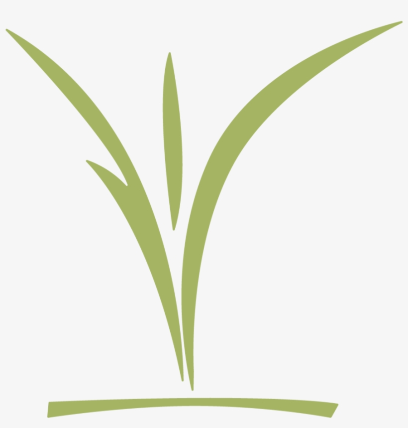 Ccc Childrens Logo Green - Grass, transparent png #7872939