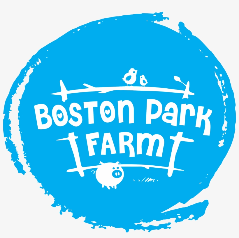 Clip Art, transparent png #7873174