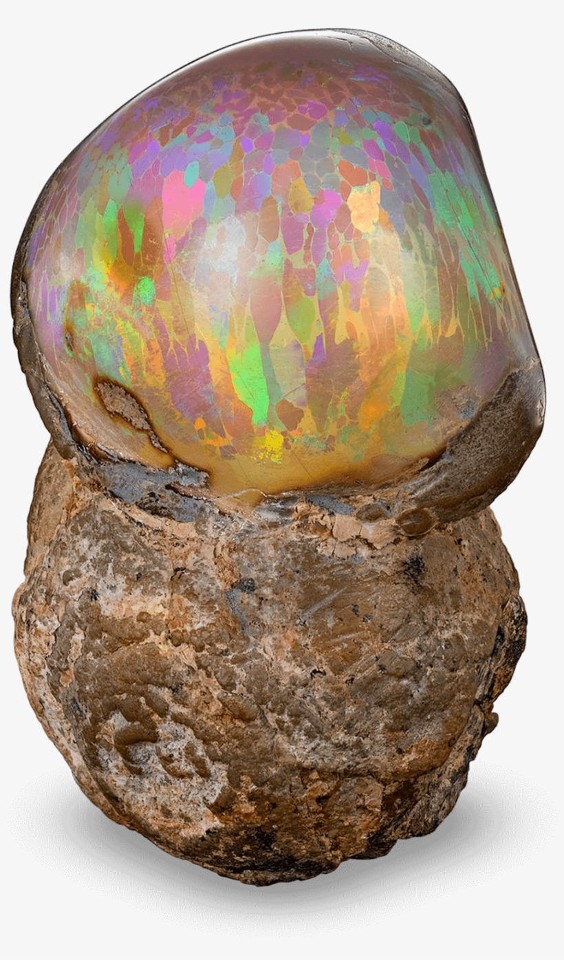 Ethiopian Mezezo Chocolate Opal Specimen - Chocolate Opal, transparent png #7873293