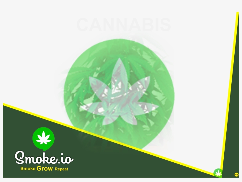 S29 - Maple Leaf, transparent png #7873361