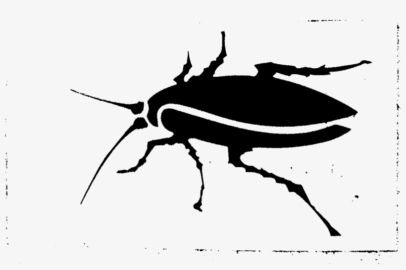 Las Famosas Cucarachas - Weevil, transparent png #7873466