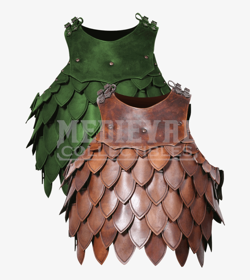 Price Match Policy - Armour Inspired In Scales, transparent png #7873958