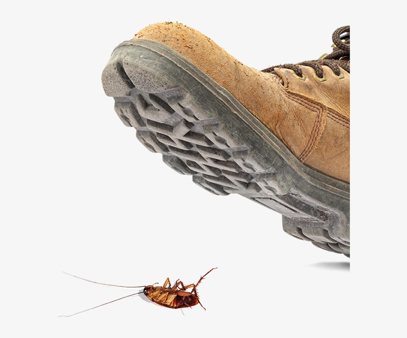 Stepping On A Bug, transparent png #7873960