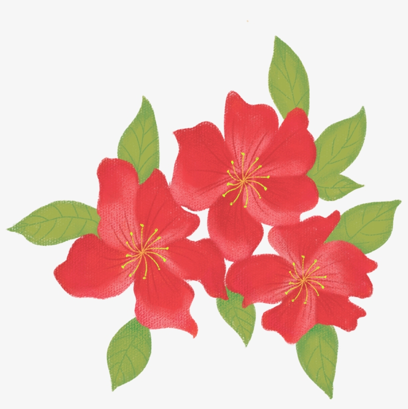 Vento Disegnato A Mano Azalea Fiore Commerciale Png - Rosa Rubiginosa, transparent png #7874351