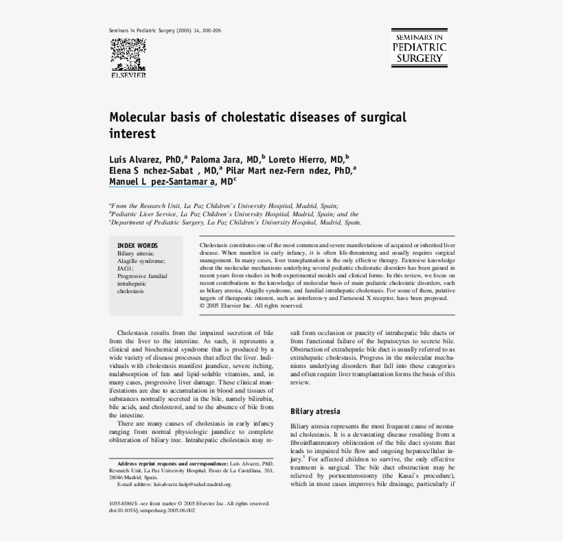 Pdf - Document, transparent png #7878524