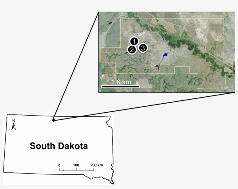 Research Ranch Location In South Dakota And Study Site - Map, transparent png #7878829