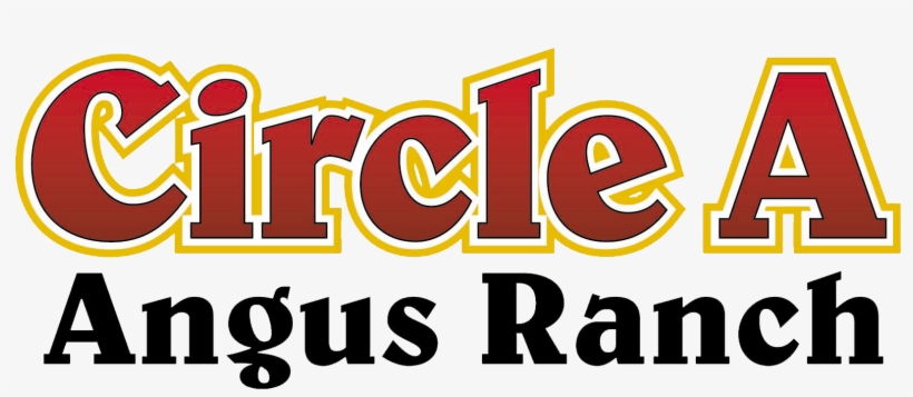 Circle A Ranch - Castle Of Jaroměřice Nad Rokytnou, transparent png #7879326