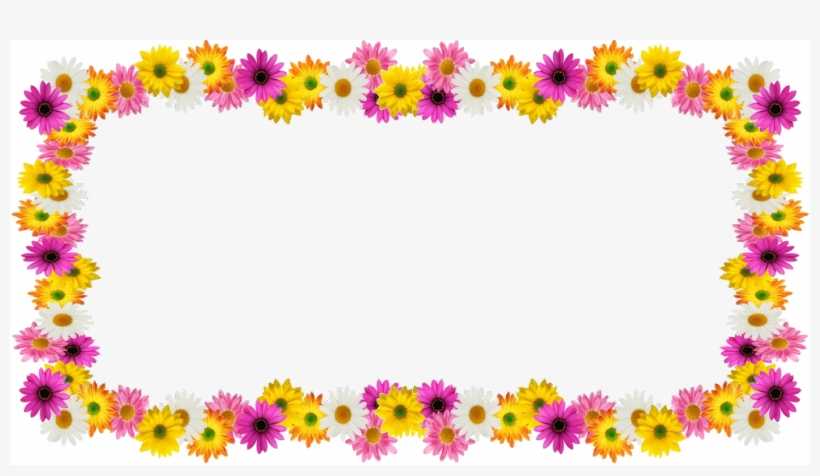 Report Abuse - African Daisy, transparent png #7879976