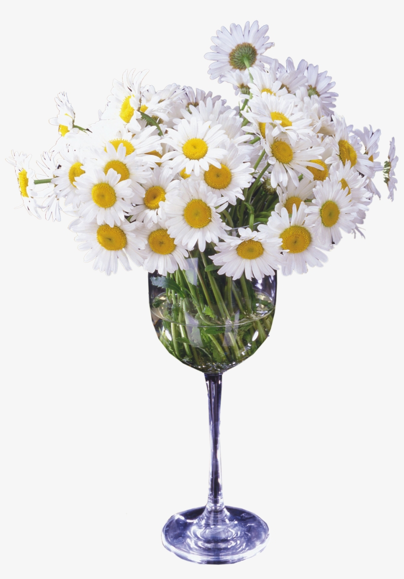 Vaso De Flor, transparent png #7880413